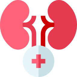Urology kidney