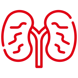 Renal